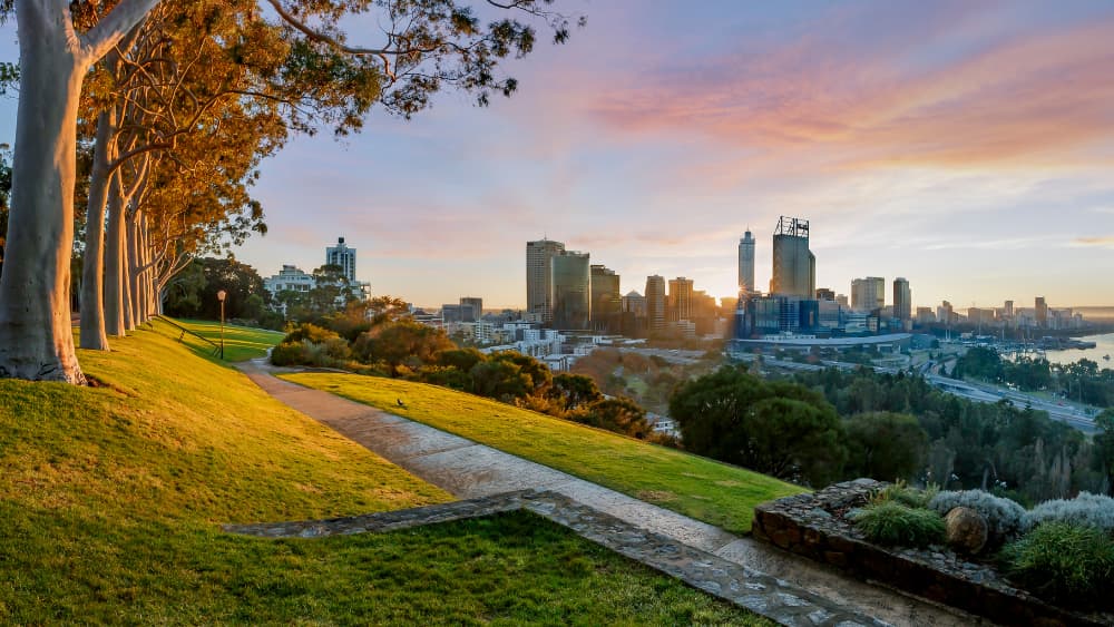 Perth picnic spot in Kings park at sunset. Grassy area overlooking the city