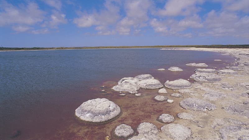 Stromatolites curving around to the right at Lake Thetis