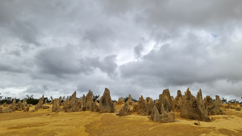 Limestone pinnacles in front of a grey cloudy sky