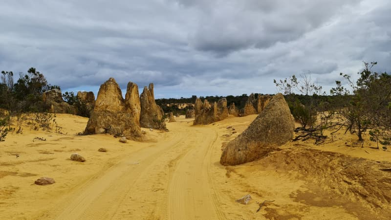 Driving track that is running through the Pinnacles