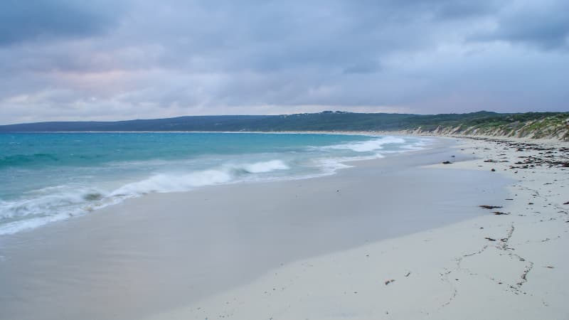 Image of Hamelin Bay. The beach is surrounded by sand dunes.