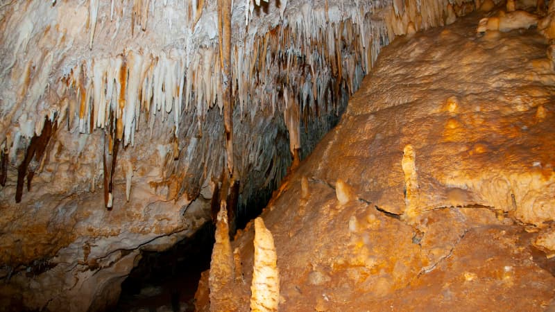 Cave chamber in Jewel Cave
