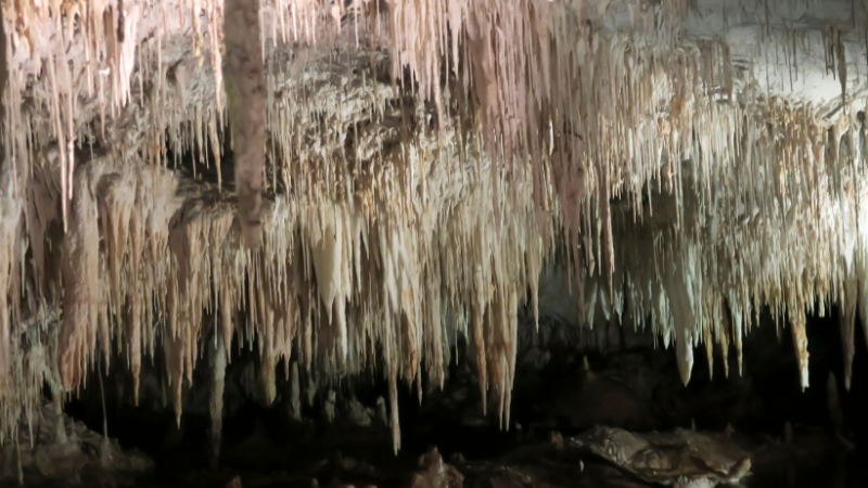White calcite stalactites hanging from the ceiling of Lake Cave in Margaret River