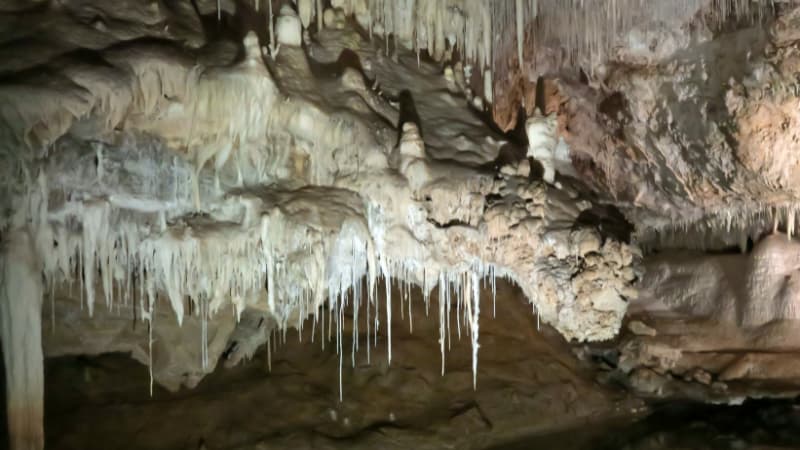 Calcite formations, white in colour, that line the walls of Lake Cave