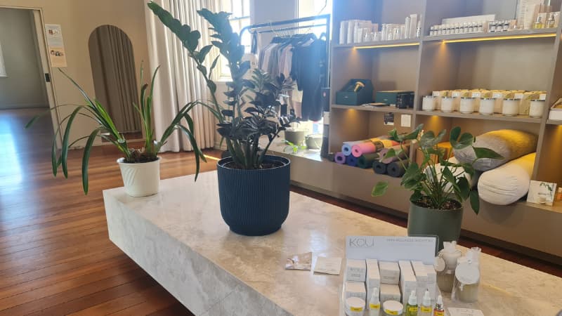 3 green plants sit on a marble style bench in Bodyscape Wellness Spa. There are products for sale on shelves in the background