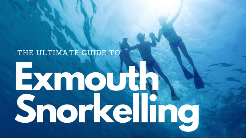 3 snorkelers holding hands swim above and the sun above is shining down. The text reads "The Ultimate Guide to Exmouth Snorkelling"