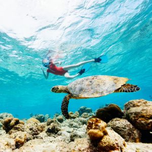 Woman swimming with turtle