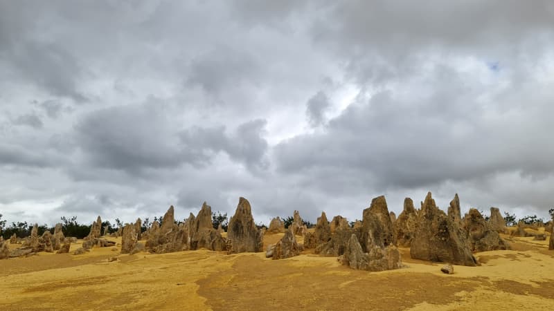 The pinnacles near Cervantes in a cloudy day