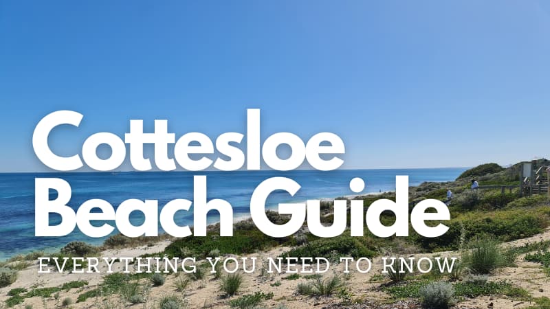 The sand dunes and ocean of Cottesloe Beach. The overlaid text reads: Cottesloe Beach Guide: Everything you need to know"