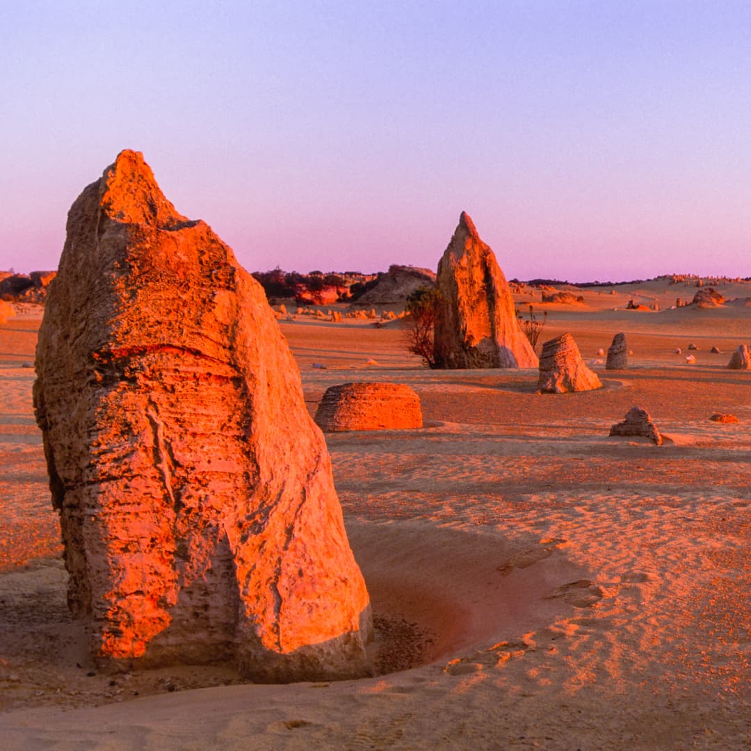 Limestone Pinnacles of Pinnacles Desert at sunset
