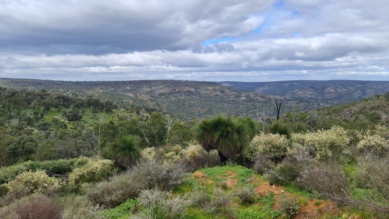 View of the rolling hills from the Echidna Trail at Walyunga National Park