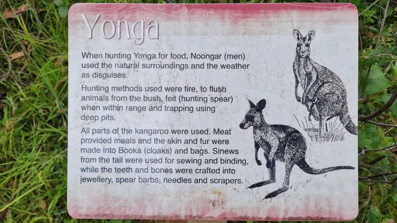 Yonga sign on the Aboriginal Heritage Trail explaining tradition facts about kangaroos