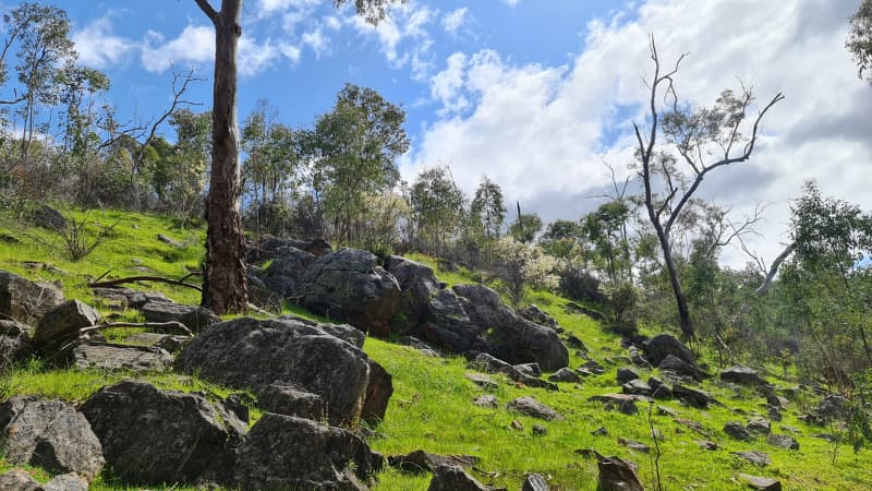 Granite outcrops on a hill at Walyunga National Park