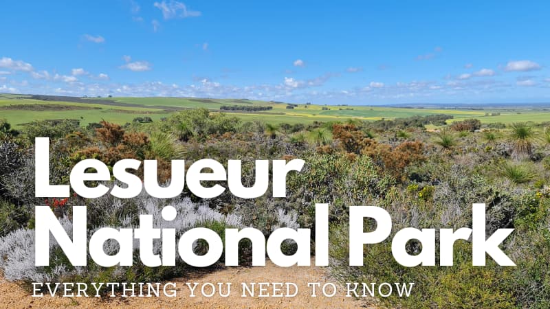 Shrubs in front of rolling hills of Lesueur National Park. The overlaid text reads: "Lesueur National Park: Everything you need to know"