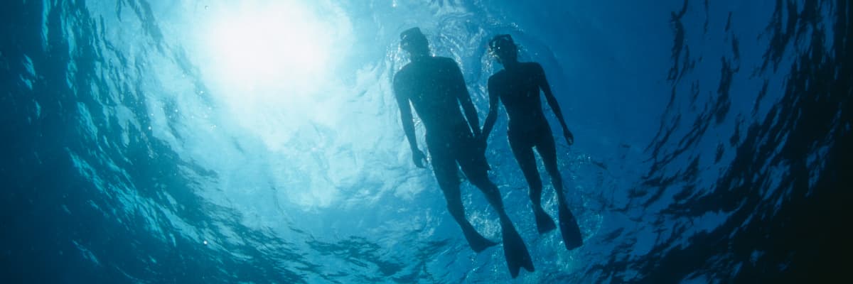 Two people holding hands as they snorkel above the camera.