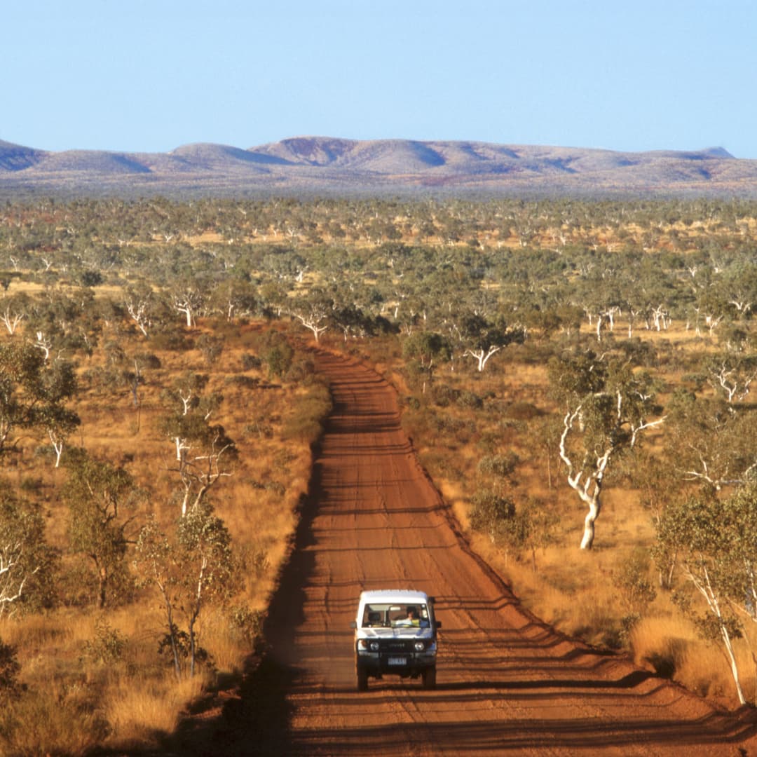A White 4WD drives down a dirt road in the bush in WA