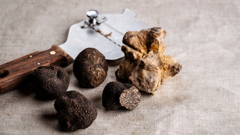 Fresh truffles and slicer sit on a fabric tablecloth