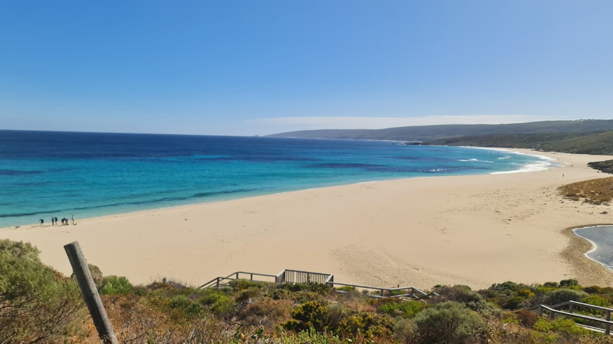 Wide-angle view of Smiths Beach, showcasing the turquoise waters meeting the sandy shoreline under a clear blue sky. Coastal dunes and vegetation frame the beach, with a wooden staircase leading down to the sand. The coastline extends into the distance, creating a sense of openness and natural beauty.