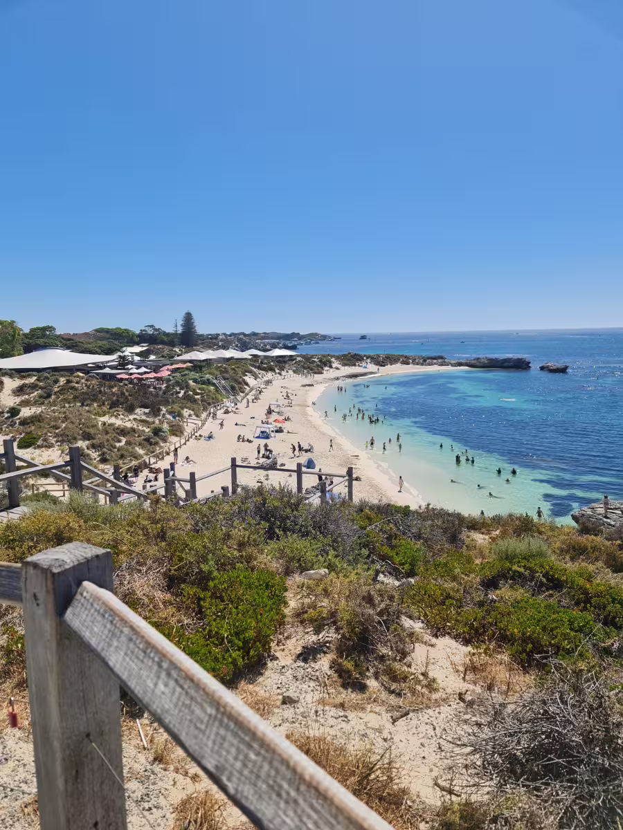 Pinky Beach Rottnest Island Elevated view of Pinky Beach on Rottnest Island, showing people swimming and sunbathing along the sandy shoreline, with bright turquoise water and coastal greenery.