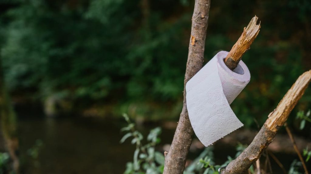 Toilet paper roll hanging on a tree branch at a bush campsite, symbolising basic outdoor toileting when camping off-grid.