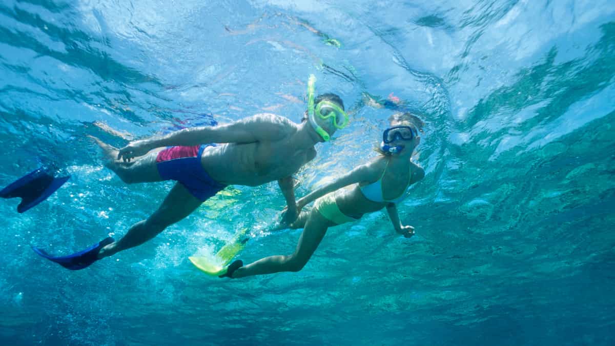 Couple snorkelling in clear turquoise water over coral reef
