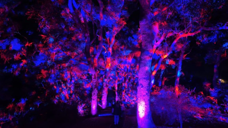 Perth October Perth in October: Events, Weather, Things to Do + More! | Perth Weekend
