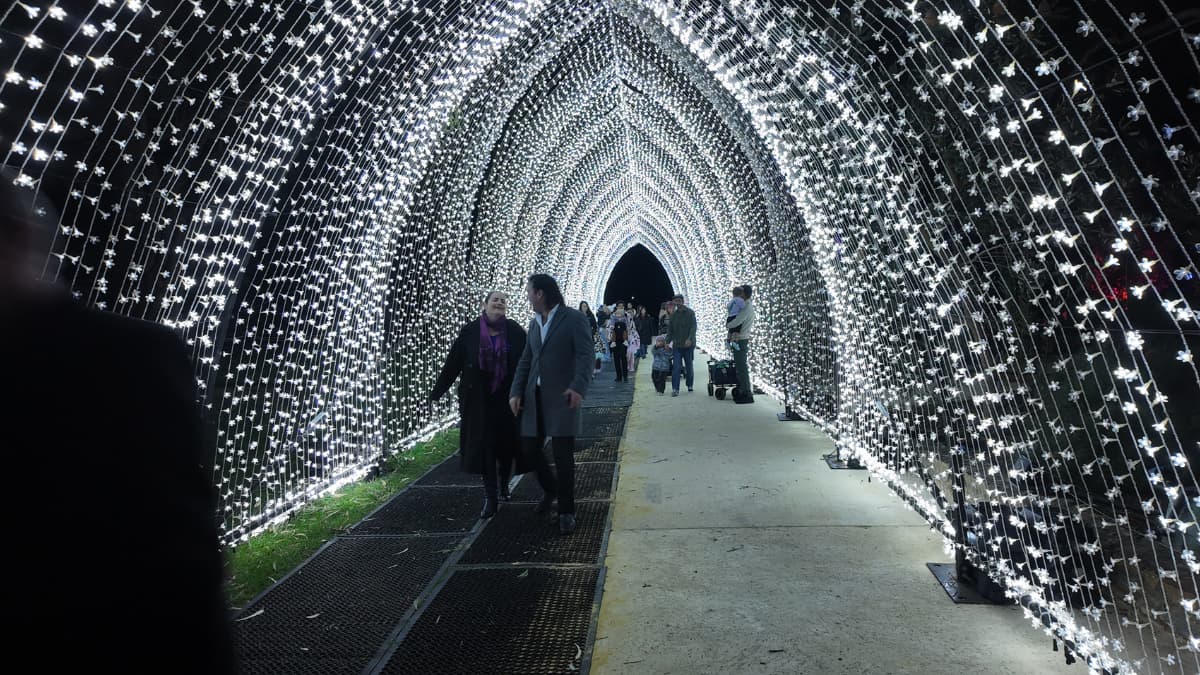 Perth Lightscape Visitors walking through a cathedral-like tunnel of cascading white fairy lights at Lightscape, Kings Park, Perth.